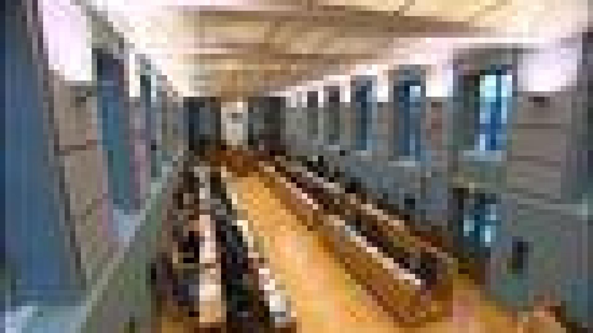 Parlement wallon : prestations de serment